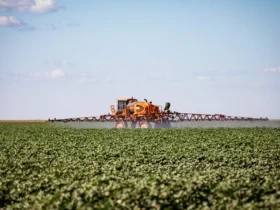 Mato Grosso impulsiona estimativa agrícola e fortalece liderança nacional