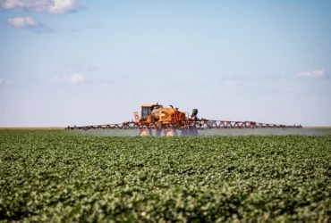 Mato Grosso impulsiona estimativa agrícola e fortalece liderança nacional