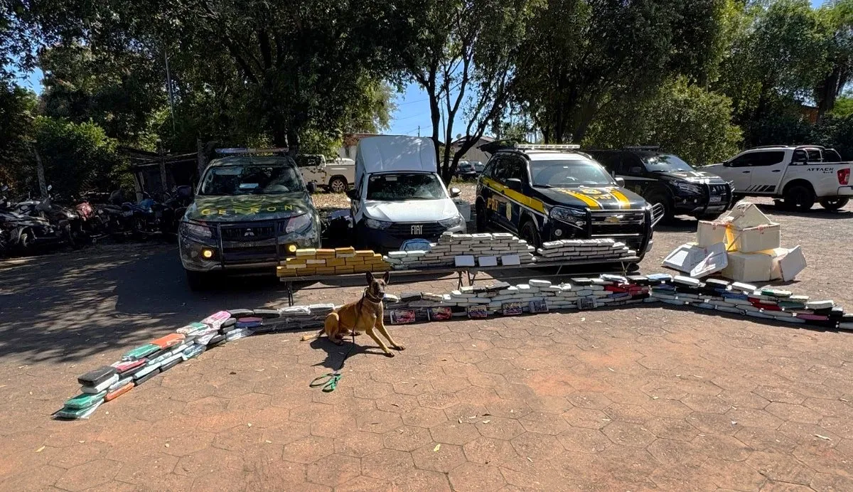 Cão farejador, Tupã, da equipe K-9 do Gefron.