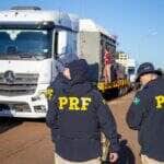 PRF escolta elefanta Kenya em travessia do Parana ao Mato Grosso rumo a santuario especializado