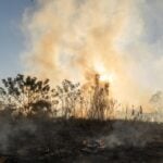 Periodo da seca traz de volta a ameaca das queimadas em Rondonopolis