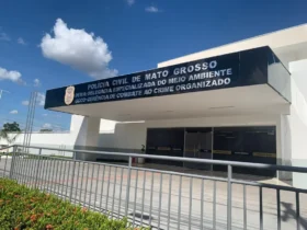 Polícia investiga maus-tratos após encontrar gatos mortos em residência