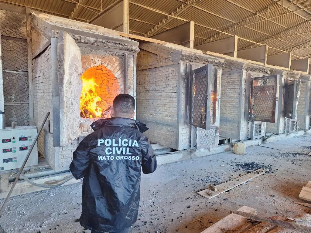 Polícia incinera 150 quilos de drogas em operação contra tráfico