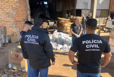 Polícia incinera 200 quilos de drogas em operação contra tráfico