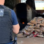 Polícia Civil - MT