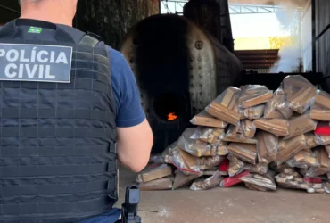 Polícia Civil - MT