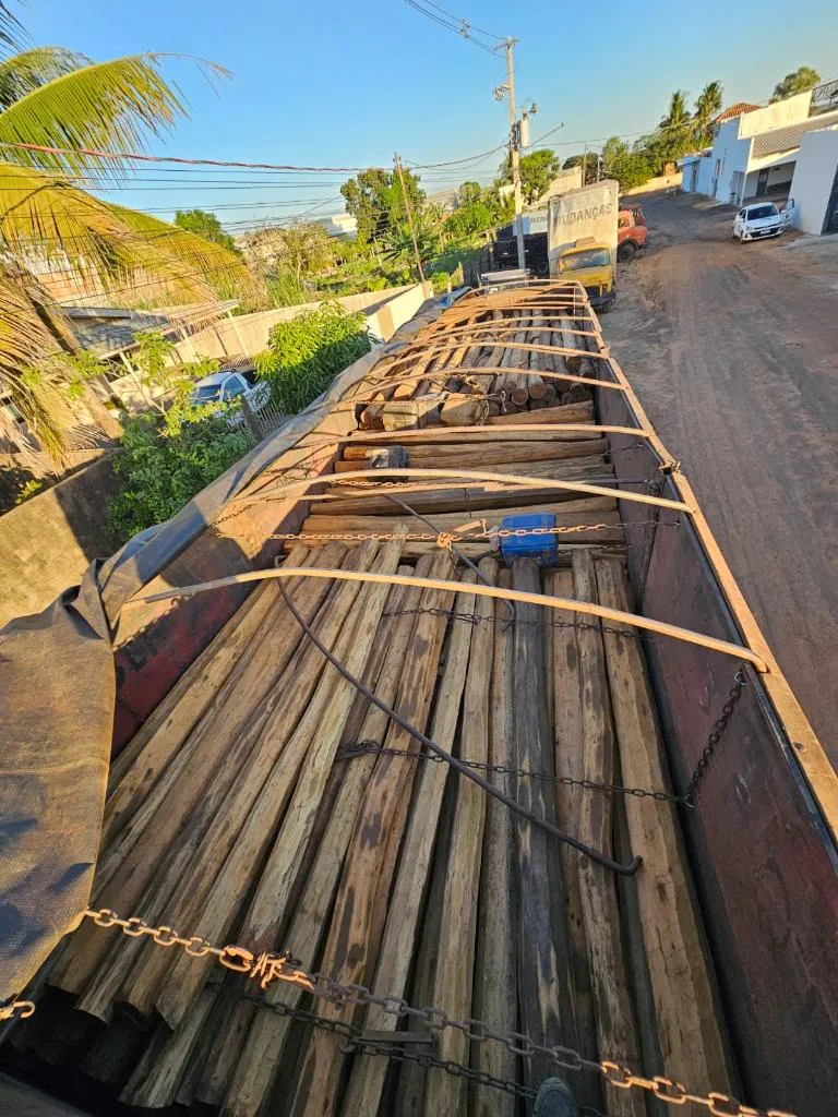 Polícia combate transporte ilegal de madeira com operações reforçadas em Mato Grosso 73 Polícia combate transporte ilegal de madeira com operações reforçadas em Mato Grosso
