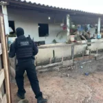 Facção é desarticulada e rinha de galo é fechada durante operação em Campos de Júlio