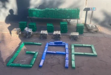 Polícia intercepta quadrilha com 436 tabletes de maconha em operação