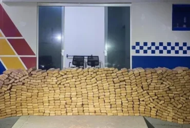 Polícia reforça combate ao tráfico com apreensão recorde de drogas