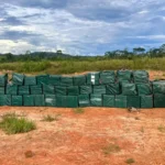 Polícia intensifica combate e apreensões de drogas disparam