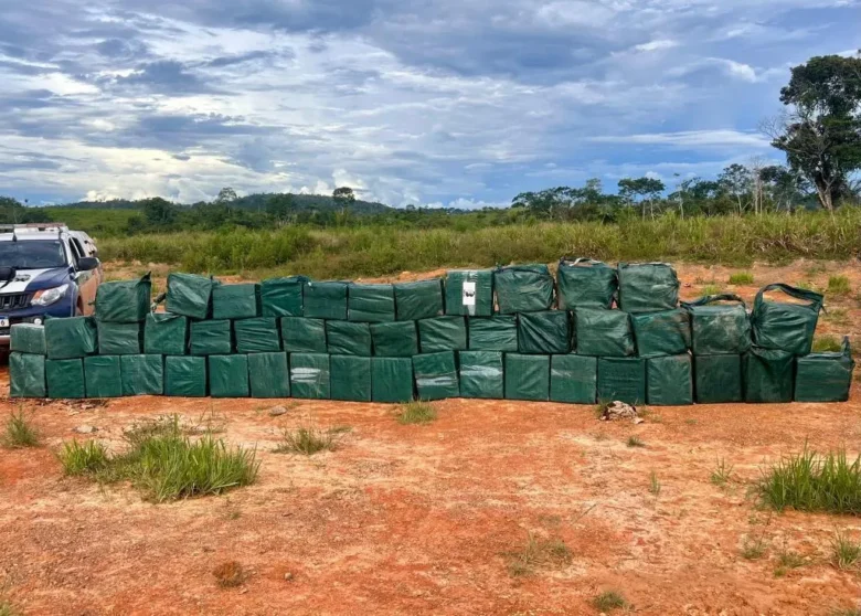 Polícia intensifica combate e apreensões de drogas disparam