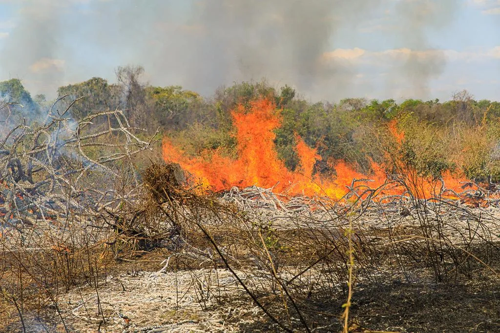 Homem embriagado provoca incêndio em fazenda e é preso pela Polícia Militar