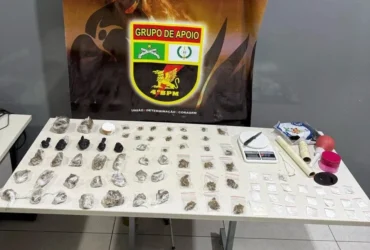 Polícia desarticula tráfico e apreende 79 porções de drogas
