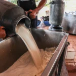 Agricultores Familiares ligados à cadeia leiteira agregam valor ao produto com selo de qualidade