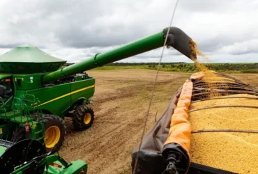 Safra de graos em MT sera a maior da historia e com maior produtividade media da soja 1