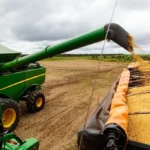 Mato Grosso fortalece protagonismo na produção global com safra recorde