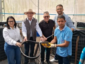 Seaf fortalece aquaponia com nova unidade em Tangará da Serra