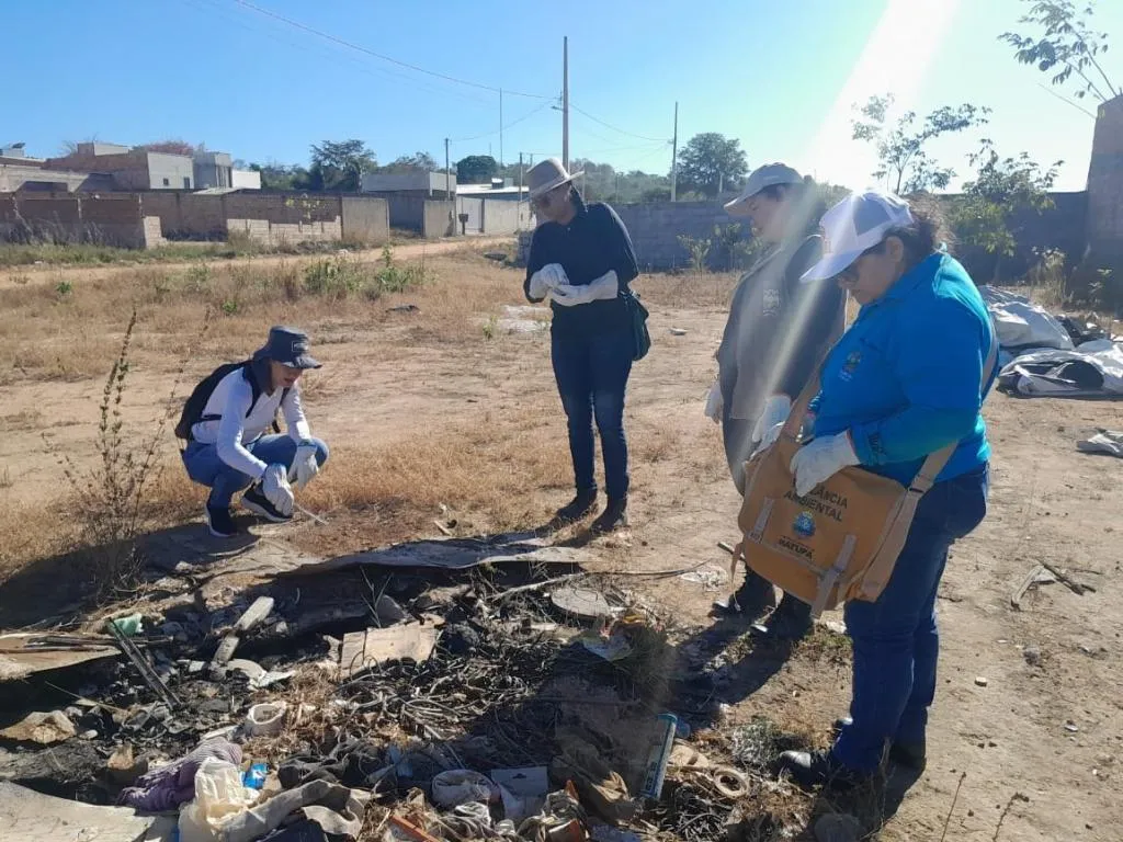 Capacitação fortalece vigilância no controle de escorpiões em Mato Grosso