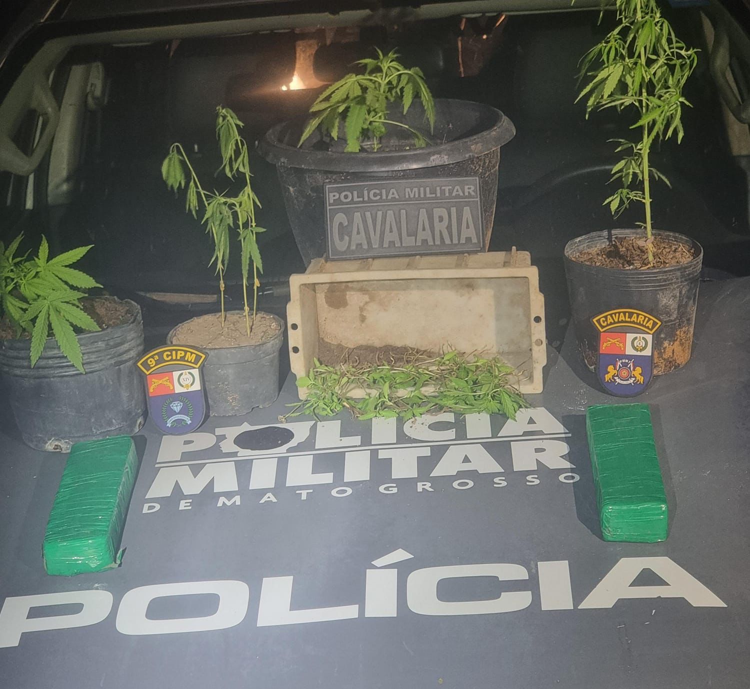 Ação da Cavalaria e apoio da PM de Diamantino resultou na apreensão de drogas, motocicleta roubada, celulares e dinheiro em espécie
