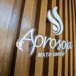 aprosoja mato grosso