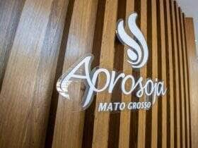 aprosoja mato grosso