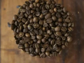 Tarifaço de Trump ameaça exportações de café, carne, suco e frutas