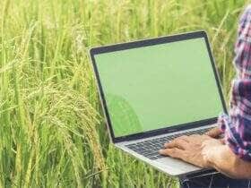 curso agrocomputacao.jpg 1000x800 q80 subsampling 2 upscale