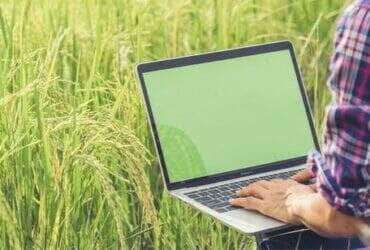 curso agrocomputacao.jpg 1000x800 q80 subsampling 2 upscale