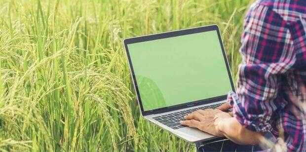 curso agrocomputacao.jpg 1000x800 q80 subsampling 2 upscale