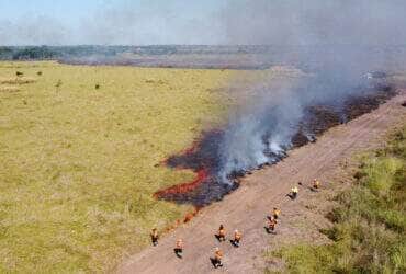fogo campo