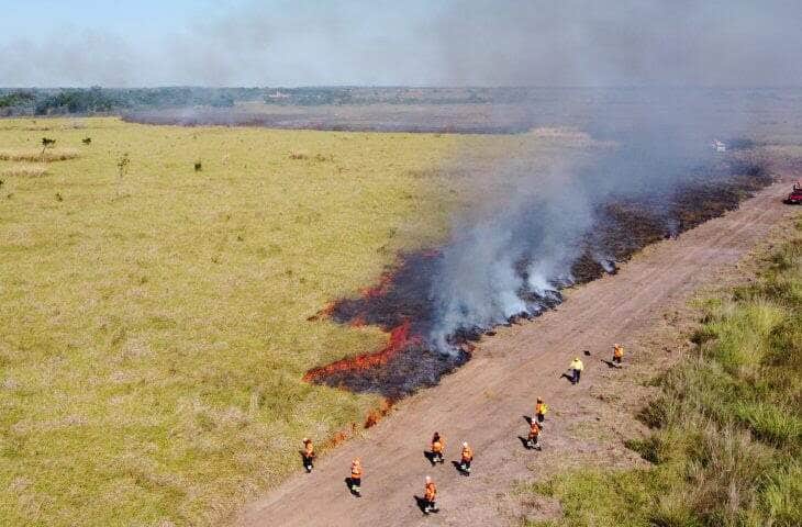 fogo campo