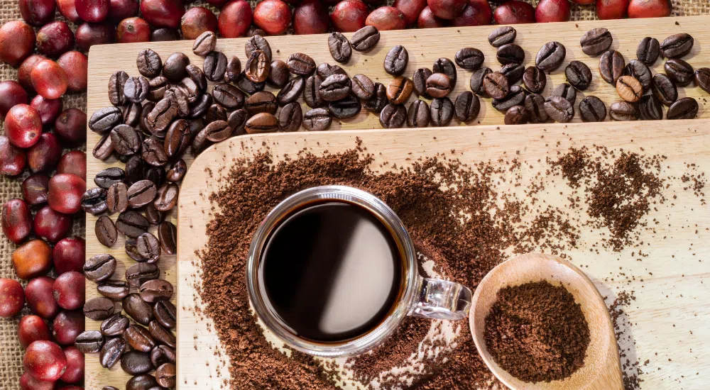 Café mais caro do mundo: conheça os grãos mais exclusivos e valorizados do planeta 89 foto de cafe caro