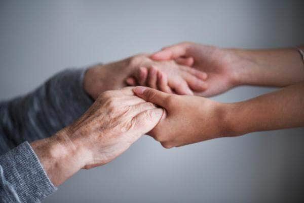 nova lei promove apadrinhamento voluntario de idosos em Sorriso