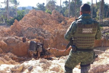 Sema intensifica operações e aplica R$ 1,3 bilhão em multas por crimes ambientais