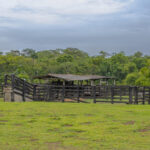 propriedade rural curral famato