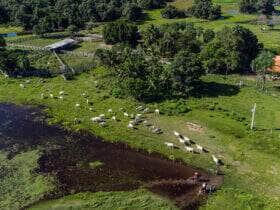 propriedade rural famato