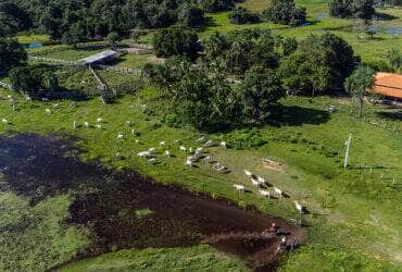 propriedade rural famato