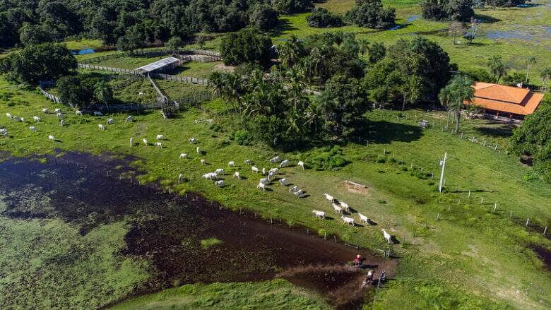 propriedade rural famato