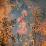 Focos concentram-se em 31 cidades de MT e acendem alerta sobre queimadas