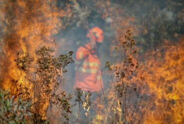 Focos concentram-se em 31 cidades de MT e acendem alerta sobre queimadas