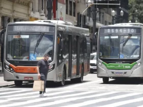 Setor de serviços cresce e alcança patamar recorde em junho