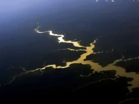 Fundo amazônia completa 17 anos com investimento recorde de mais de R$ 210 milhões