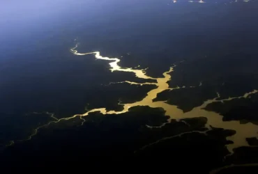 Fundo amazônia completa 17 anos com investimento recorde de mais de R$ 210 milhões