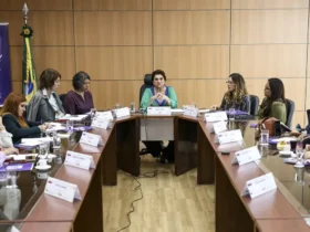 Brasília (DF), 07/08/2025 - A ministra das Mulheres, Márcia Lopes, toma café da manhã com jornalistas e apresenta o novo painel do Ligue 180. Foto: Marcelo Camargo/Agência Brasil