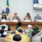 Brasília (DF) 05/08/2025 - Comissão da Amazônia e dos Povos Originários e Tradicionais, Comissão de Meio Ambiente e Desenvolvimento Sustentável e Comissão de Defesa dos Direitos da Mulher durante o Se
