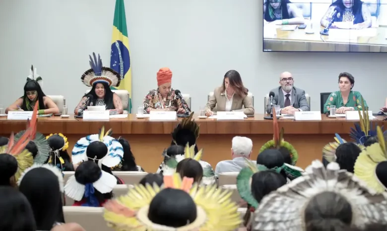 Brasília (DF) 05/08/2025 - Comissão da Amazônia e dos Povos Originários e Tradicionais, Comissão de Meio Ambiente e Desenvolvimento Sustentável e Comissão de Defesa dos Direitos da Mulher durante o Se