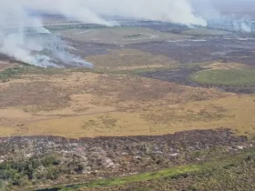 Corumbá-MS 20/09/2024 Polícia Federal deflagrou na manhã desta sexta-feira (20/9) a Operação Prometeu para combater os crimes de incêndio, desmatamento, exploração ilegal de terras da União, entre out