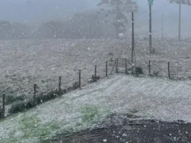 São José dos Ausentes (RS), 09/08/2025 - Neve no Rio Grande do Sul. Foto: Milena Velho Amaral/Divulgação