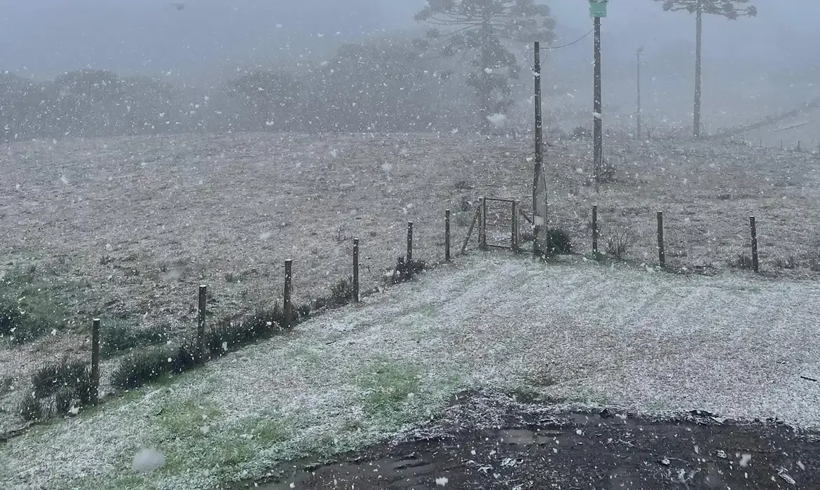São José dos Ausentes (RS), 09/08/2025 - Neve no Rio Grande do Sul. Foto: Milena Velho Amaral/Divulgação